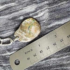Abalone pendant, silver tone chain